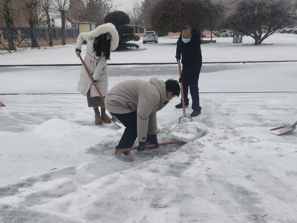 学生清雪照片图片